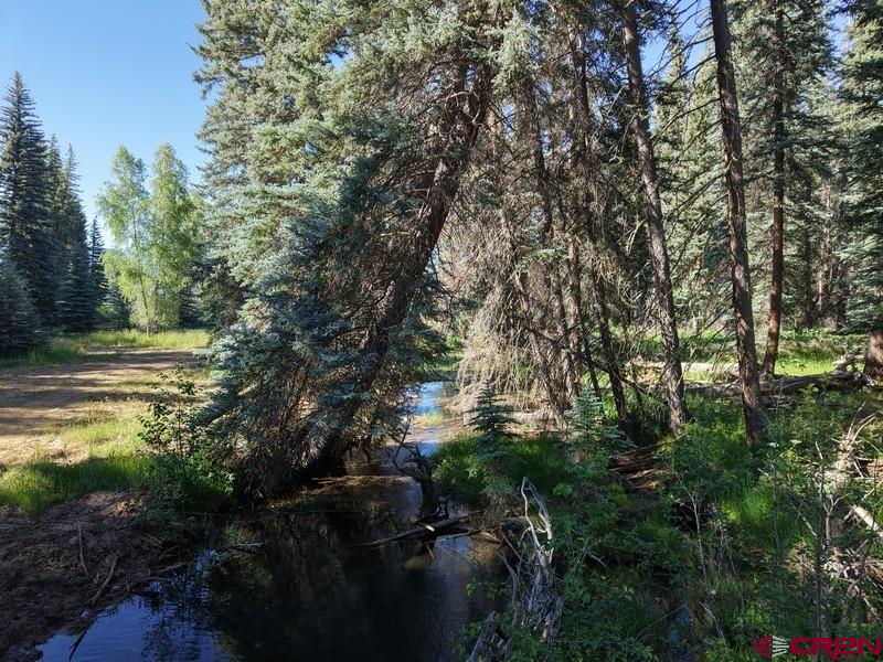 201 Golden Forest Road Bayfield, CO 81122 - Photo 30 of 37