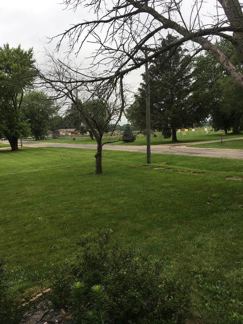 13078 Church Road Yorkville, IL 60560 - Photo 20 of 22 a view of field with trees
