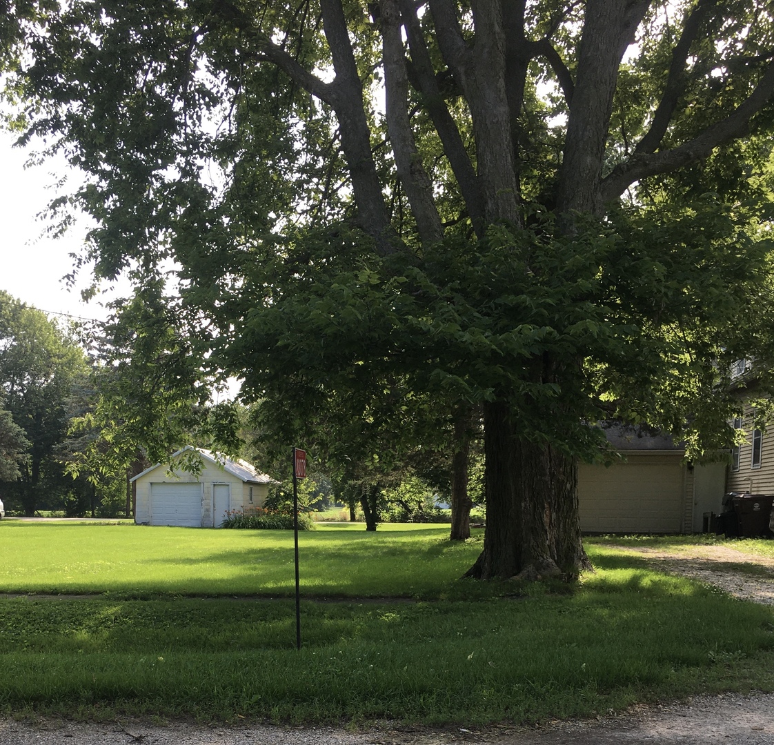 13078 Church Road Yorkville, IL 60560 - Photo 22 of 22 a big yard with large trees