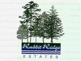 4059 Rabbit River Drive Hamilton, MI 49419 - Photo 1 of 1 Primary Photo