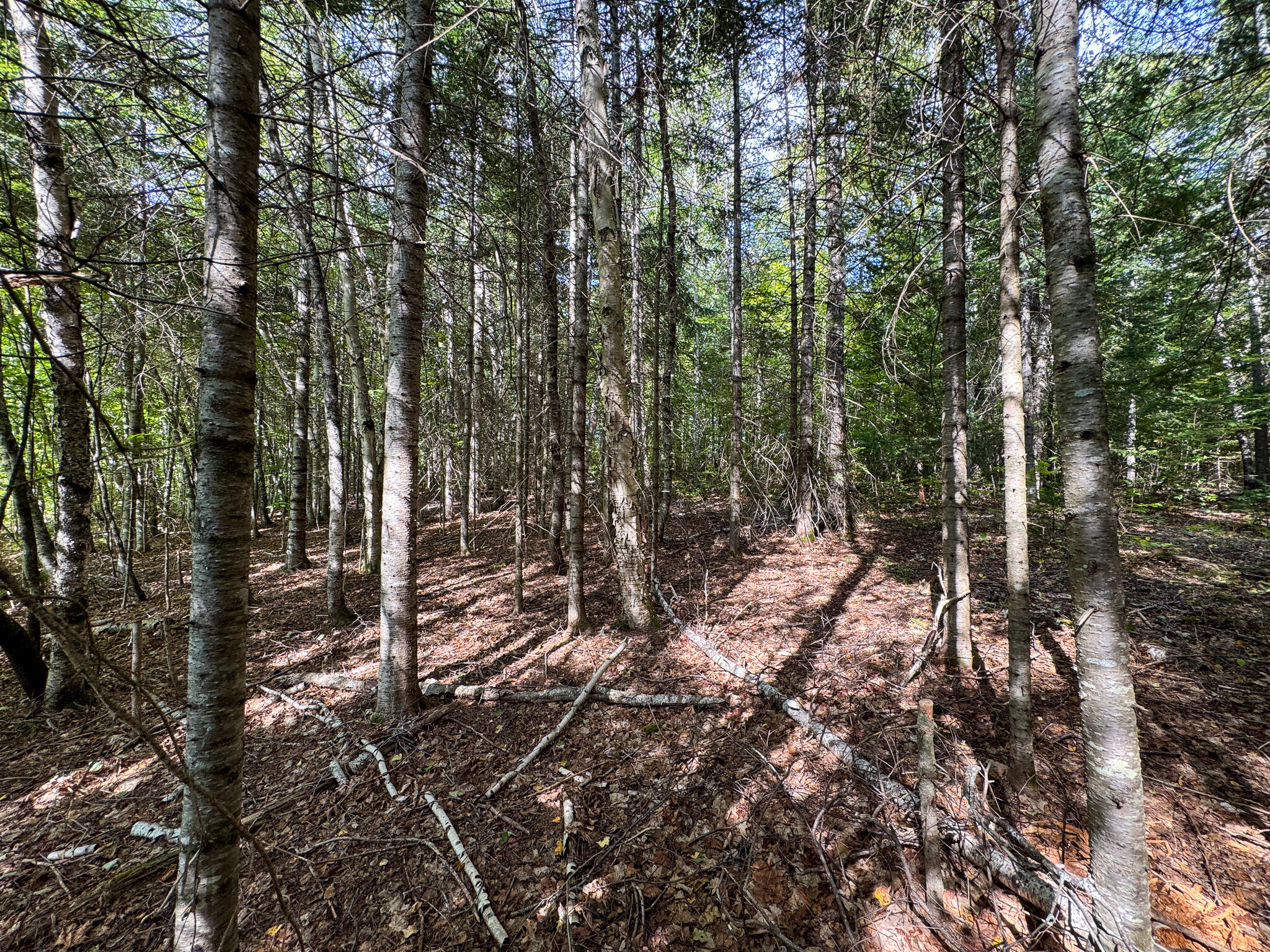 197 Lawler Ridge Road Benedicta, ME 04733 - Photo 39 of 43 37