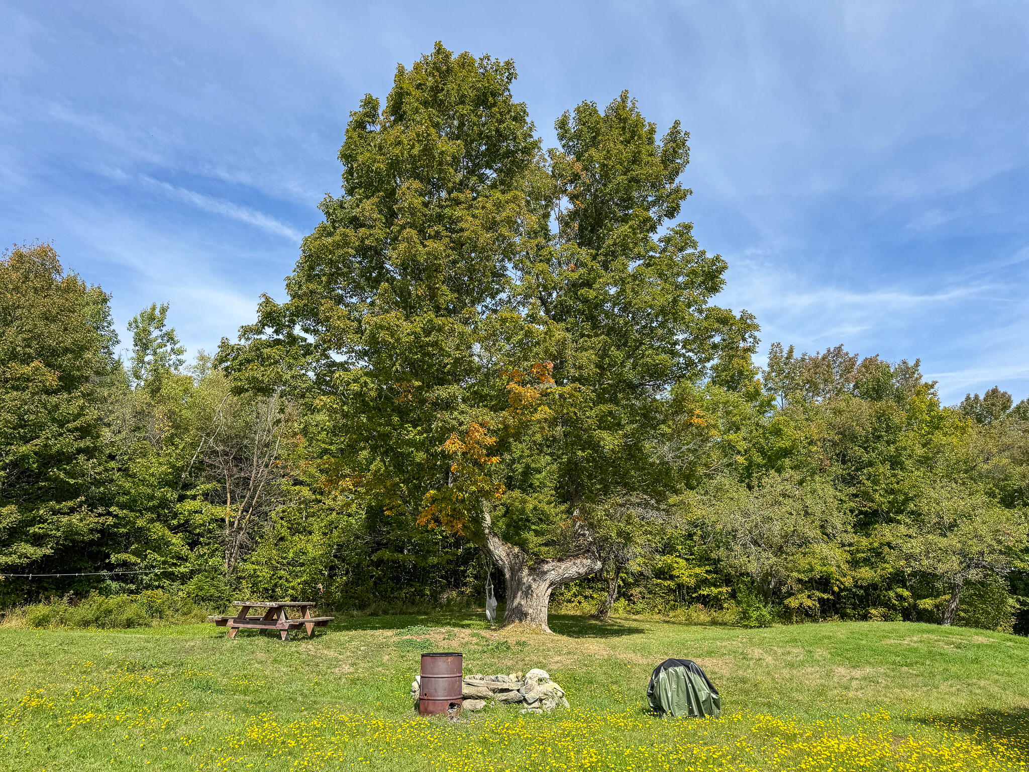 197 Lawler Ridge Road Benedicta, ME 04733 - Photo 42 of 43 40