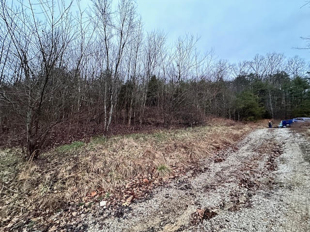 1640 North Fork Road Stanton, KY 40380 - Photo 6 of 10 unnamed (6)