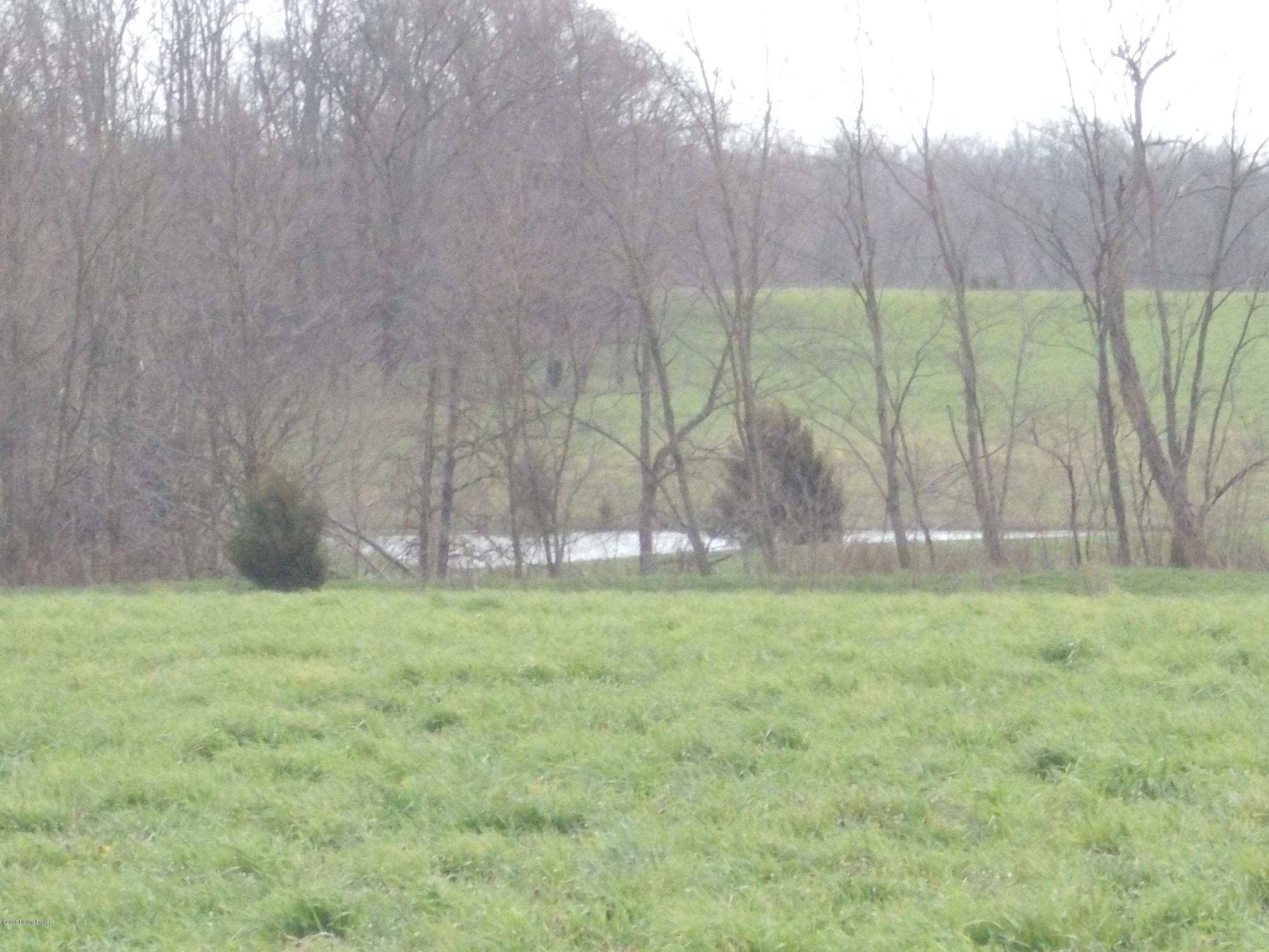 494 Mt Gilead Road New Castle, KY 40050 - Photo 10 of 11 DSCN0180