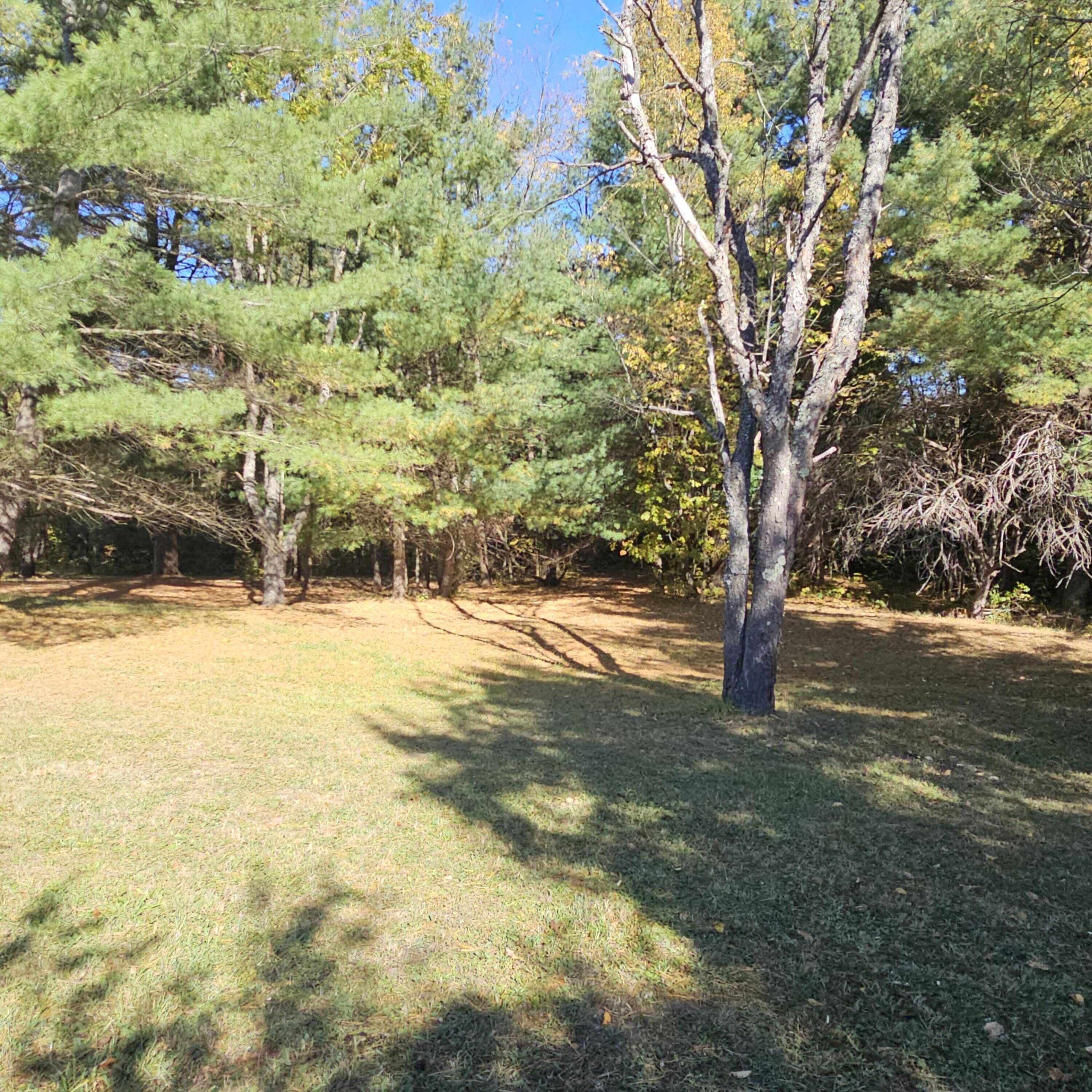 8091 Goebel Road East Jordan, MI 49727 - Photo 20 of 25 20241010_120953