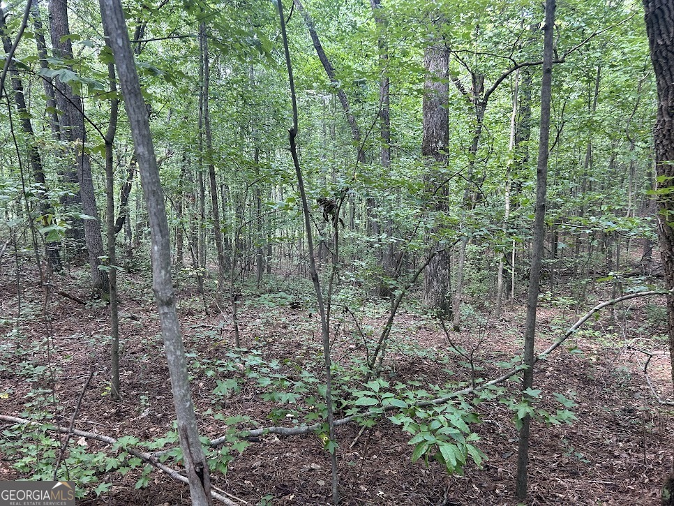 Tract 1 Attaway Road, Unit 4 15 ACRES Bowdon, GA 30108 - Photo 16 of 23 a view of forest