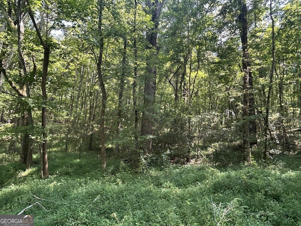 Tract 1 Attaway Road, Unit 4 15 ACRES Bowdon, GA 30108 - Photo 17 of 23 a view of a lush green forest