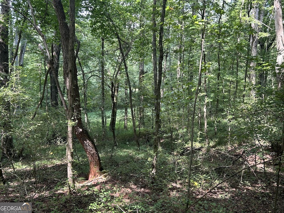 Tract 1 Attaway Road, Unit 4 15 ACRES Bowdon, GA 30108 - Photo 19 of 23 a view of forest