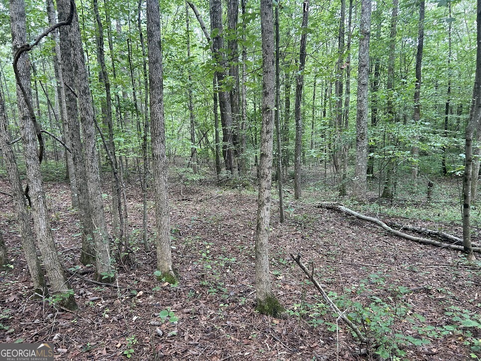 Tract 1 Attaway Road, Unit 4 15 ACRES Bowdon, GA 30108 - Photo 20 of 23 a view of a forest that has large trees