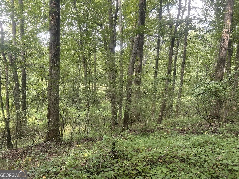 Tract 1 Attaway Road, Unit 4 15 ACRES Bowdon, GA 30108 - Photo 22 of 23 a view of forest