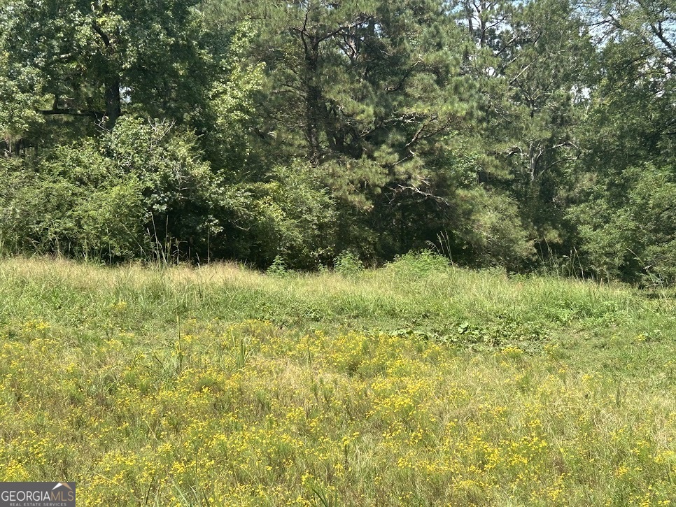 Tract 1 Attaway Road, Unit 4 15 ACRES Bowdon, GA 30108 - Photo 4 of 23 a view of outdoor space and a yard
