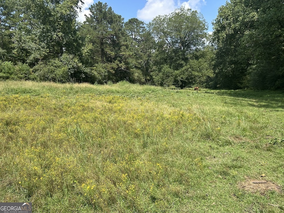 Tract 1 Attaway Road, Unit 4 15 ACRES Bowdon, GA 30108 - Photo 6 of 23 a view of outdoor space and yard