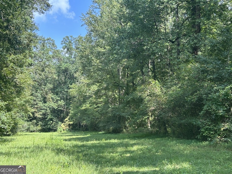 Tract 1 Attaway Road, Unit 4 15 ACRES Bowdon, GA 30108 - Photo 7 of 23 a view of a grassy field with trees in the background