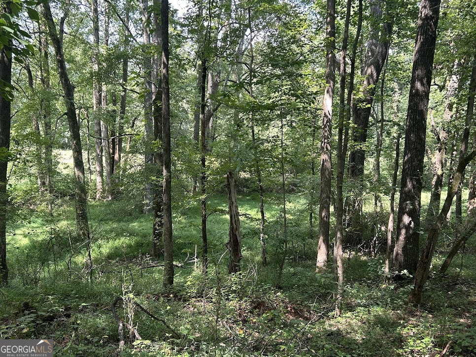 Tract 1 Attaway Road, Unit 4 15 ACRES Bowdon, GA 30108 - Photo 8 of 23 a view of a forest with trees