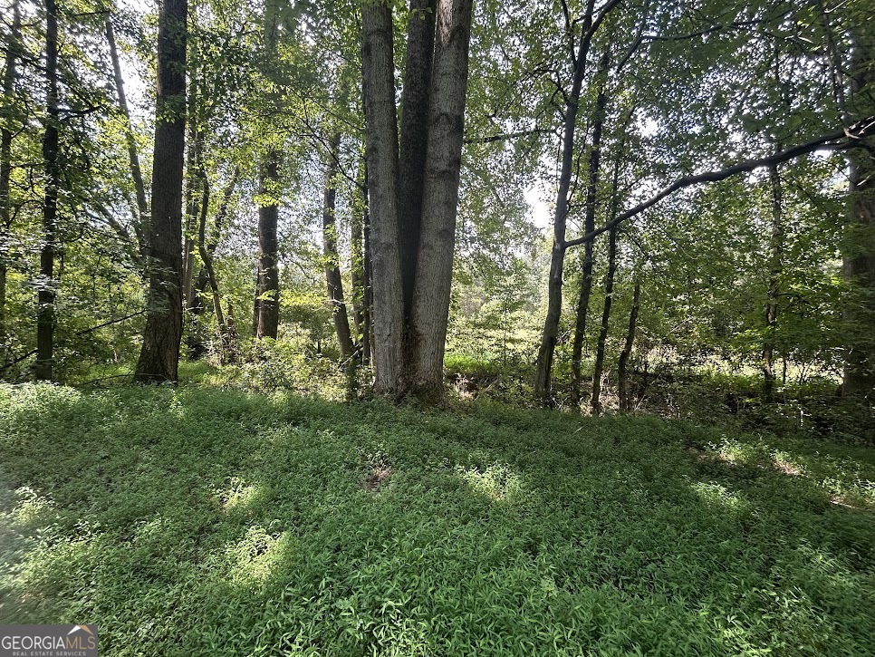 Tract 1 Attaway Road, Unit 4 15 ACRES Bowdon, GA 30108 - Photo 9 of 23 a view of lush green forest