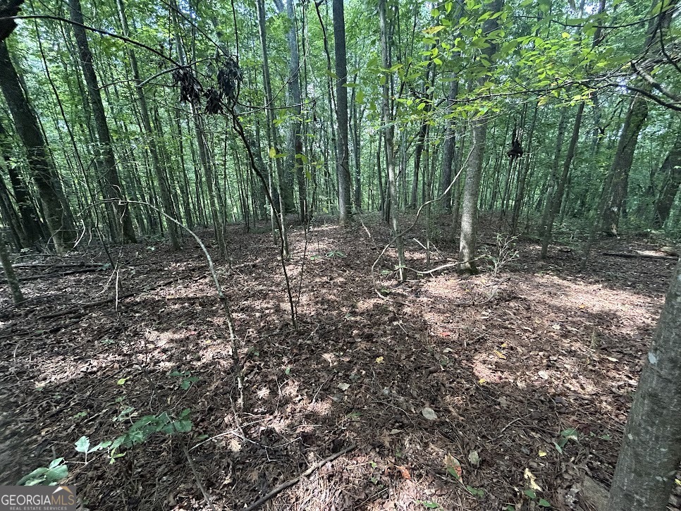 Tract 1 Attaway Road, Unit 4 15 ACRES Bowdon, GA 30108 - Photo 10 of 23 a view of a forest with trees in the background