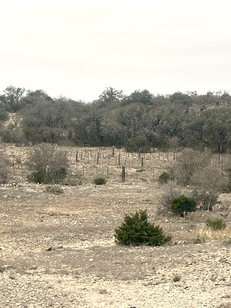 0 Other Rocksprings, TX 78880 - Photo 19 of 61