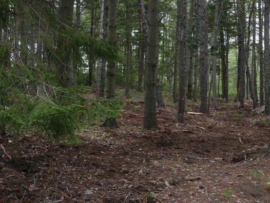 0 Middle Road Harpswell, ME 04079 - Photo 12 of 12 Photo