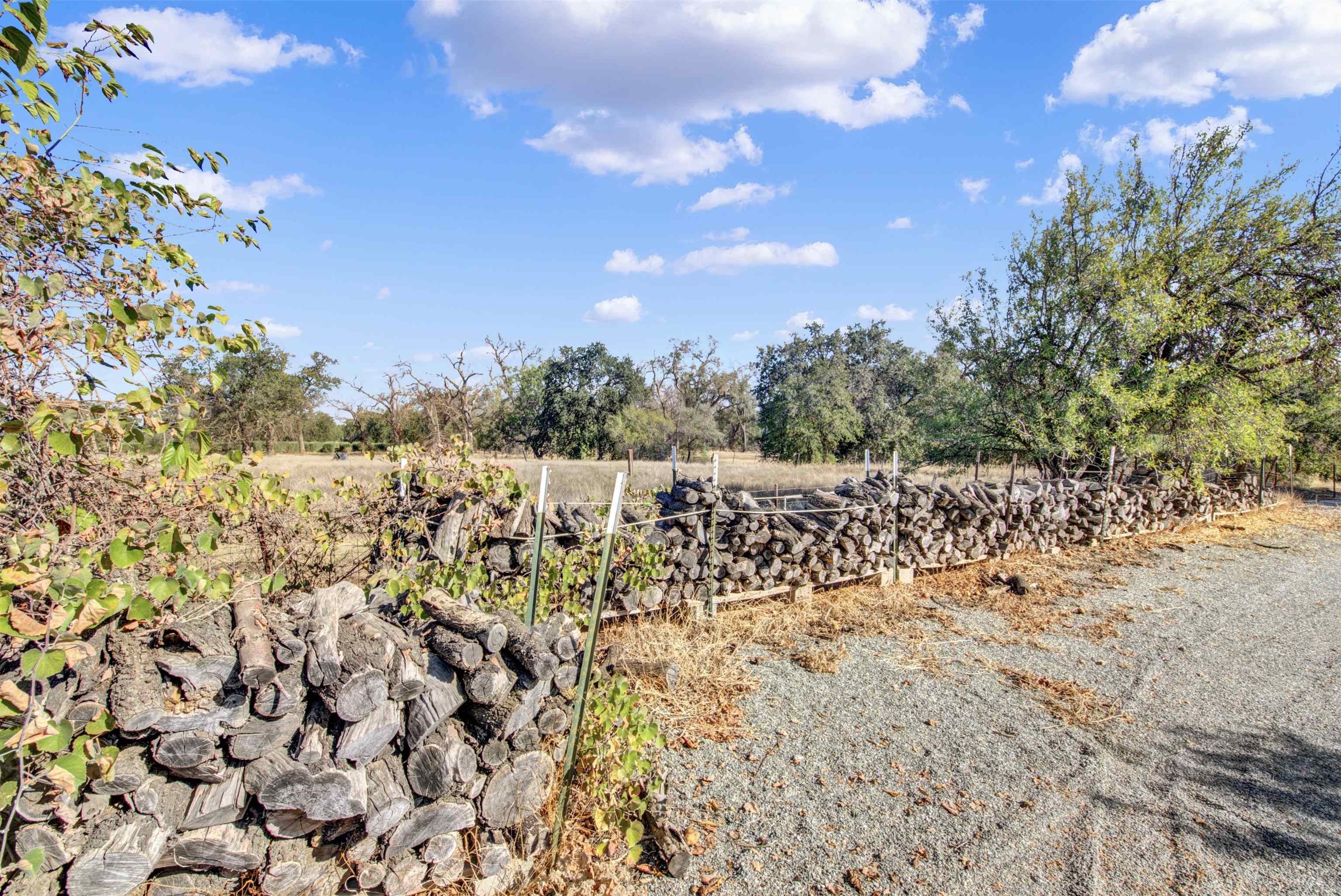 2110 Kirkwood Road Corning, CA 96021 - Photo 63 of 72 Gallery Image 63