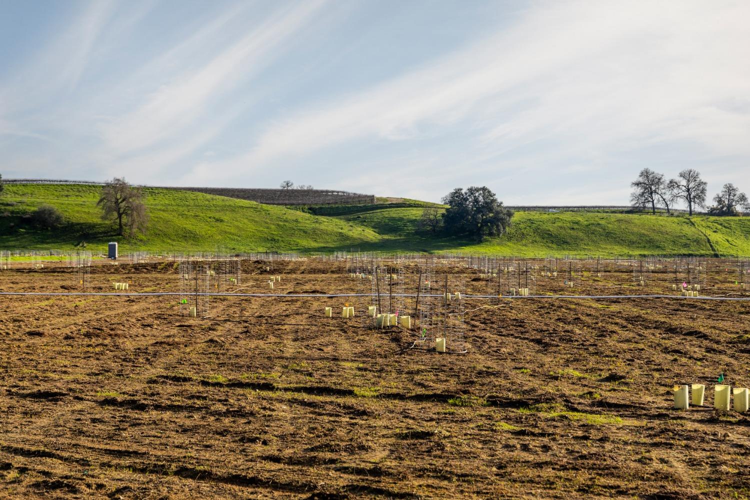 25045 North Mcintire Road Clements, CA 95227 - Photo 15 of 31