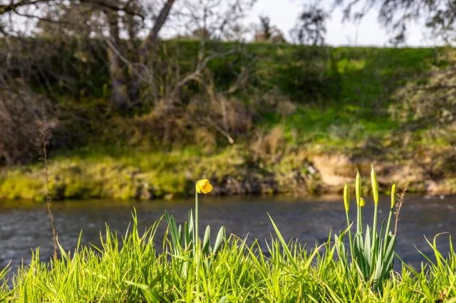 $1,075,000 | 25045 North Mcintire Road, Clements, CA 95227