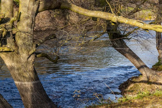 $1,075,000 | 25045 North Mcintire Road, Clements, CA 95227