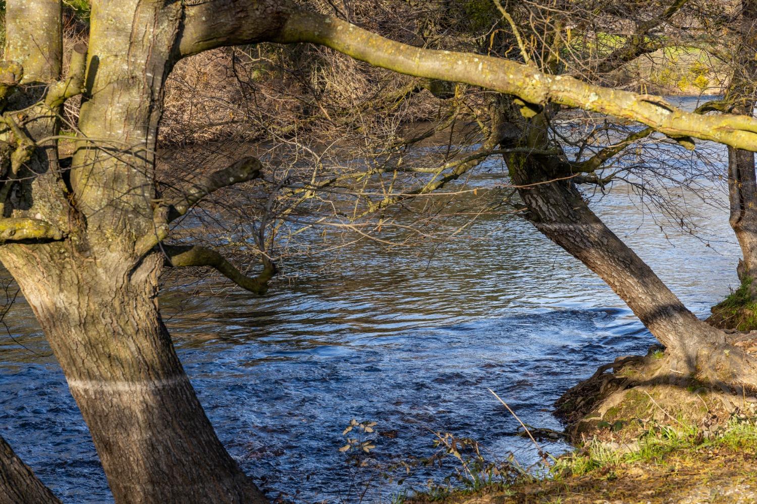 25045 North Mcintire Road Clements, CA 95227 - Photo 18 of 31