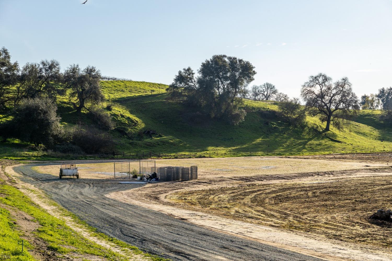 25045 North Mcintire Road Clements, CA 95227 - Photo 21 of 31