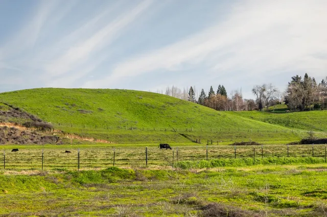 $1,075,000 | 25045 North Mcintire Road, Clements, CA 95227