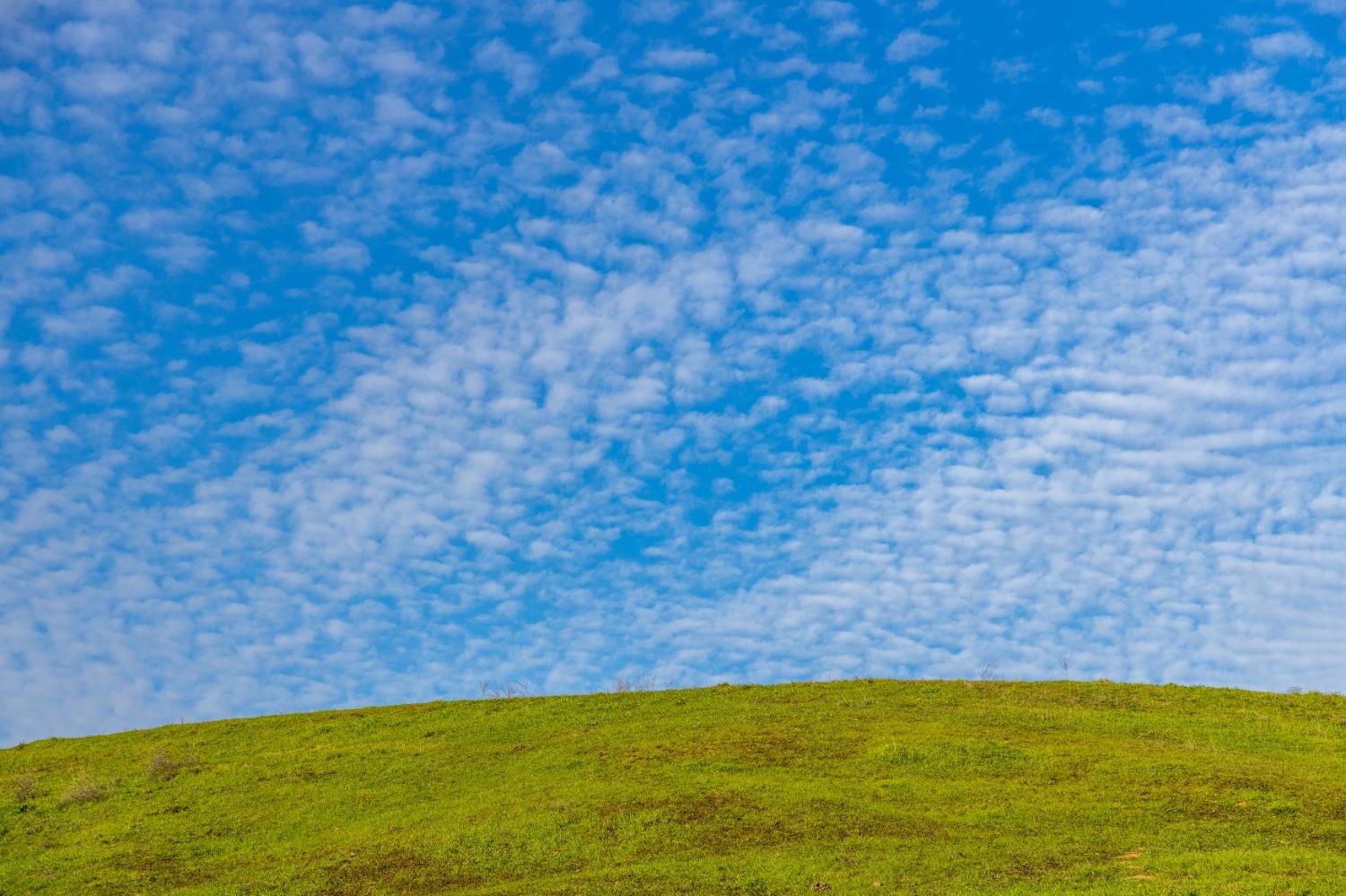 25045 North Mcintire Road Clements, CA 95227 - Photo 29 of 31