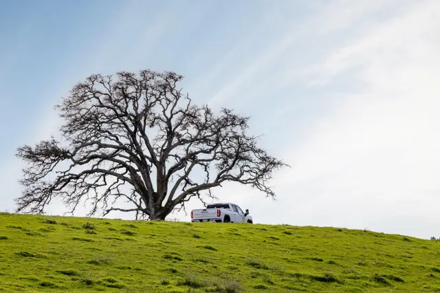 $1,075,000 | 25045 North Mcintire Road, Clements, CA 95227