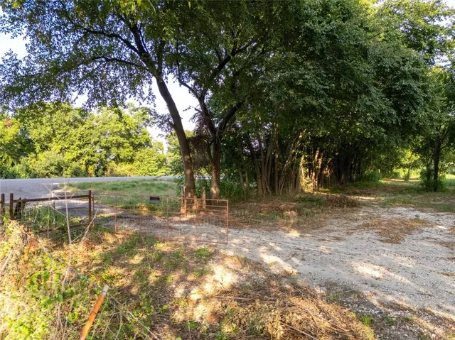 a view of a yard with an trees