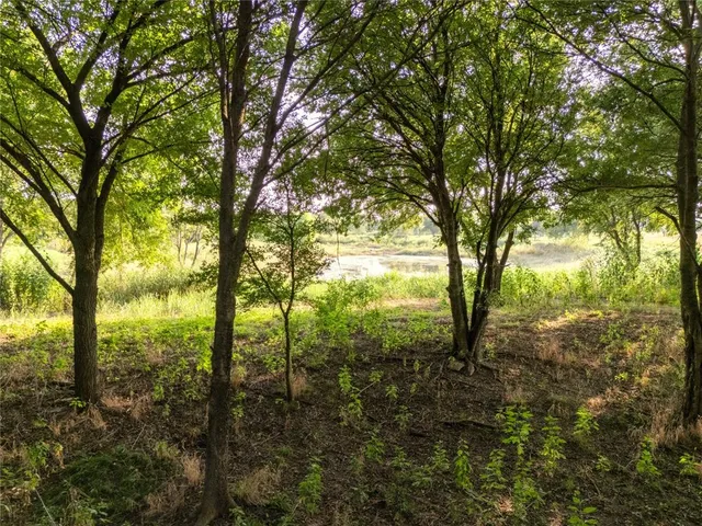 a view of a green field with lots of trees