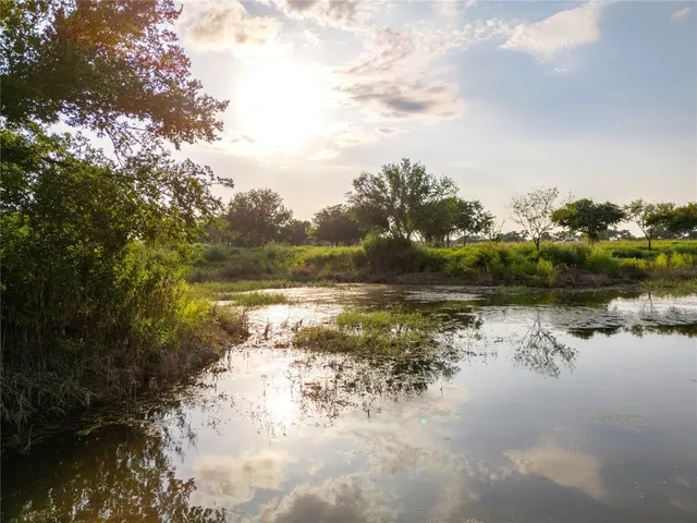 a view of a lake from a yard