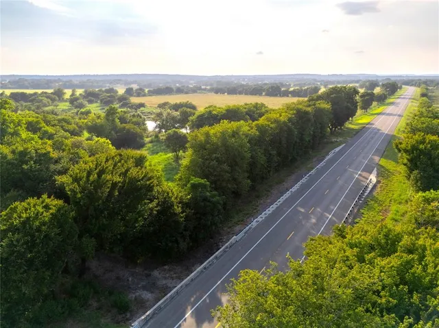a view of a yard with a plants and trees