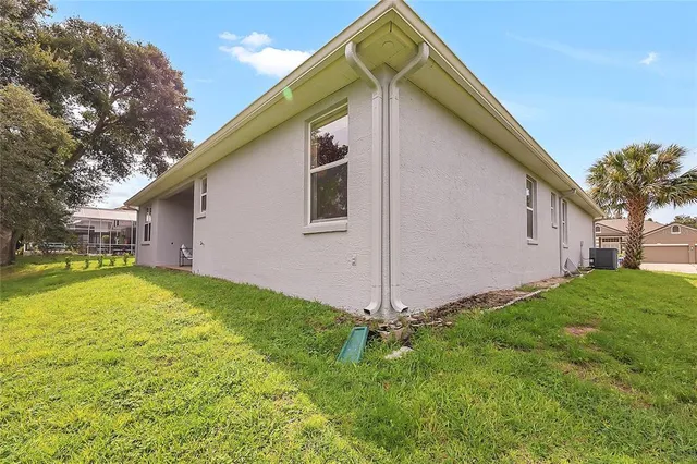 a backyard of a house with plants and large tree