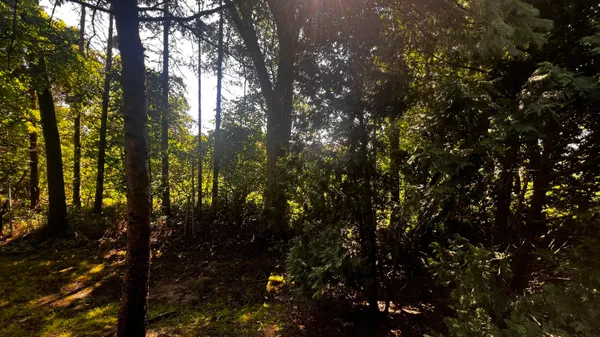 $318,000 | 217 Old Creek Drive, Saline, MI 48176