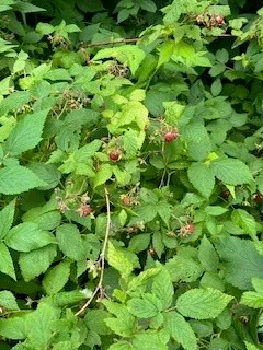 $150,000 | 292 Eminence Road, Summit, NY 12175