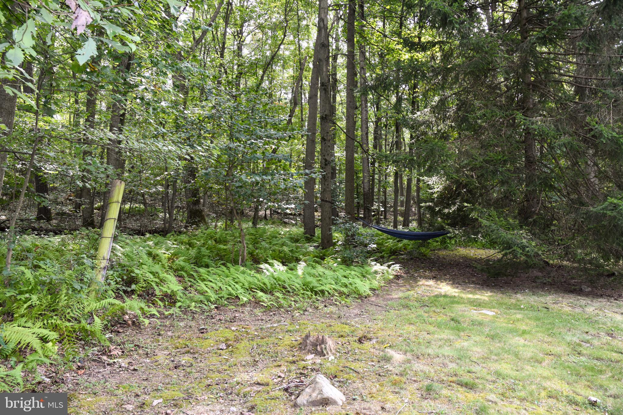 1345 Rock Ridge Road Jarrettsville, MD 21084 - Photo 13 of 62 Wooded Lot