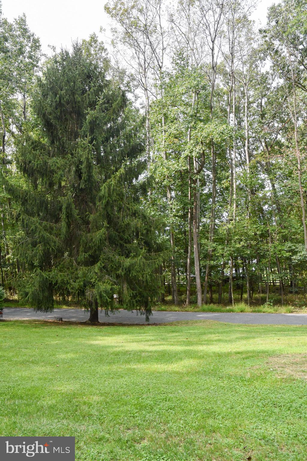 1345 Rock Ridge Road Jarrettsville, MD 21084 - Photo 58 of 62 View from front window