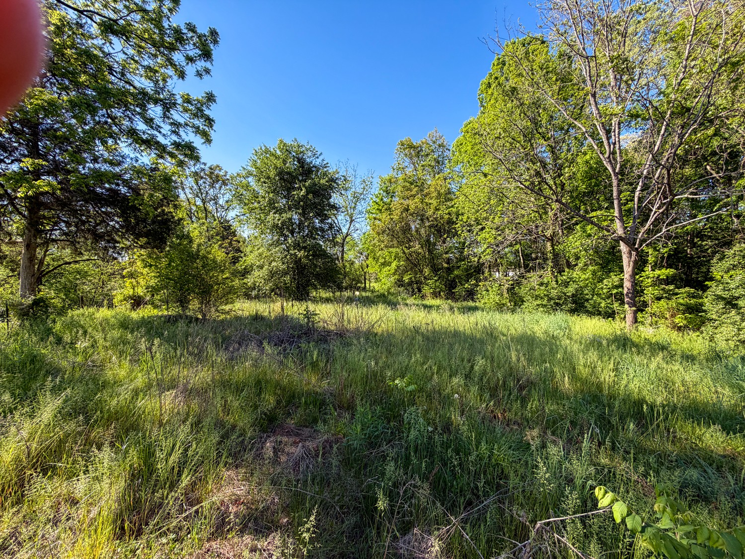 1185 Knowling Loop Talbott, TN 37877 - Photo 12 of 96