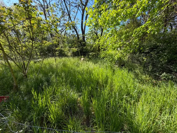 1185 Knowling Loop, Talbott, TN 37877