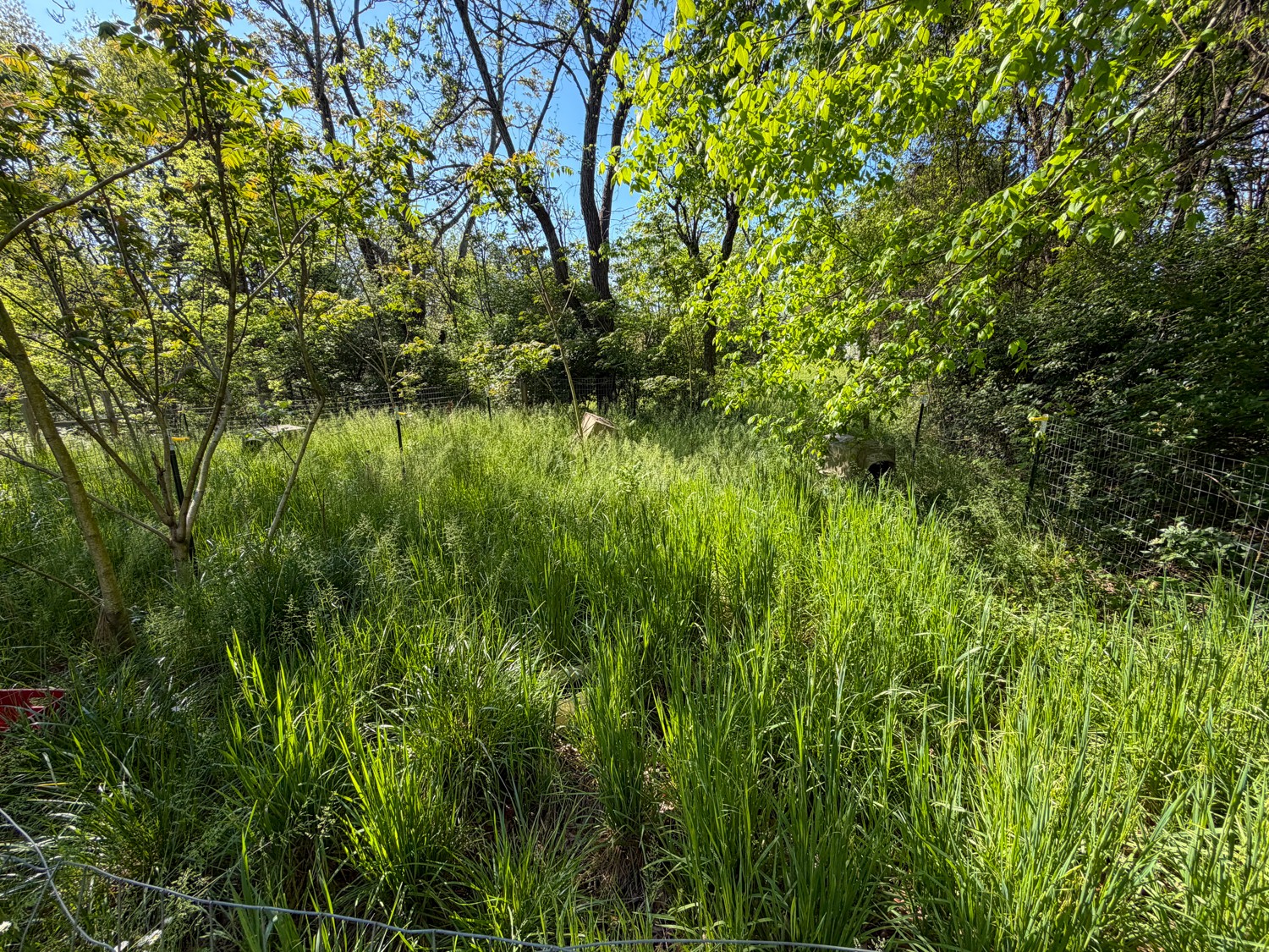 1185 Knowling Loop Talbott, TN 37877 - Photo 55 of 96