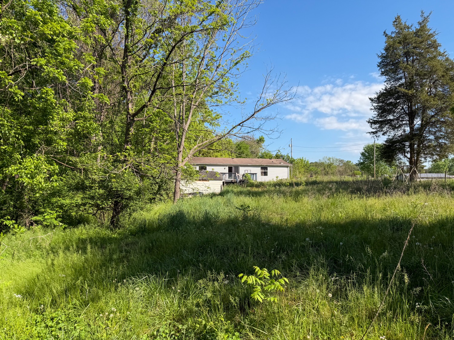 1185 Knowling Loop Talbott, TN 37877 - Photo 57 of 96