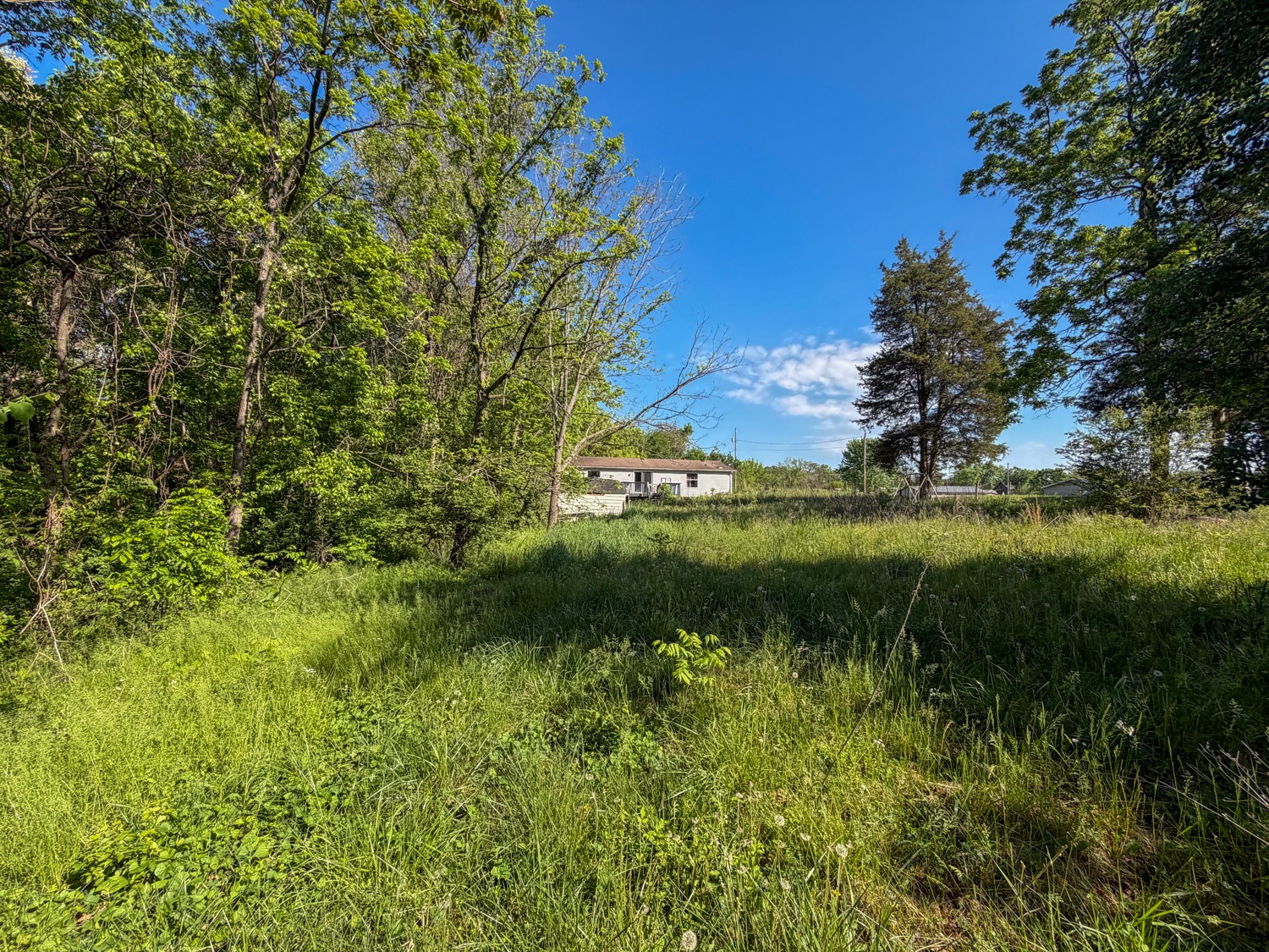 1185 Knowling Loop Talbott, TN 37877 - Photo 58 of 96