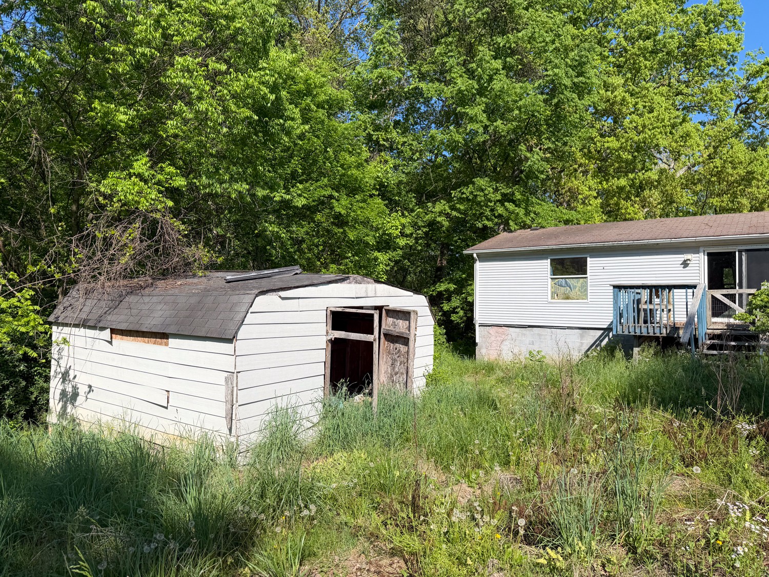 1185 Knowling Loop Talbott, TN 37877 - Photo 64 of 96