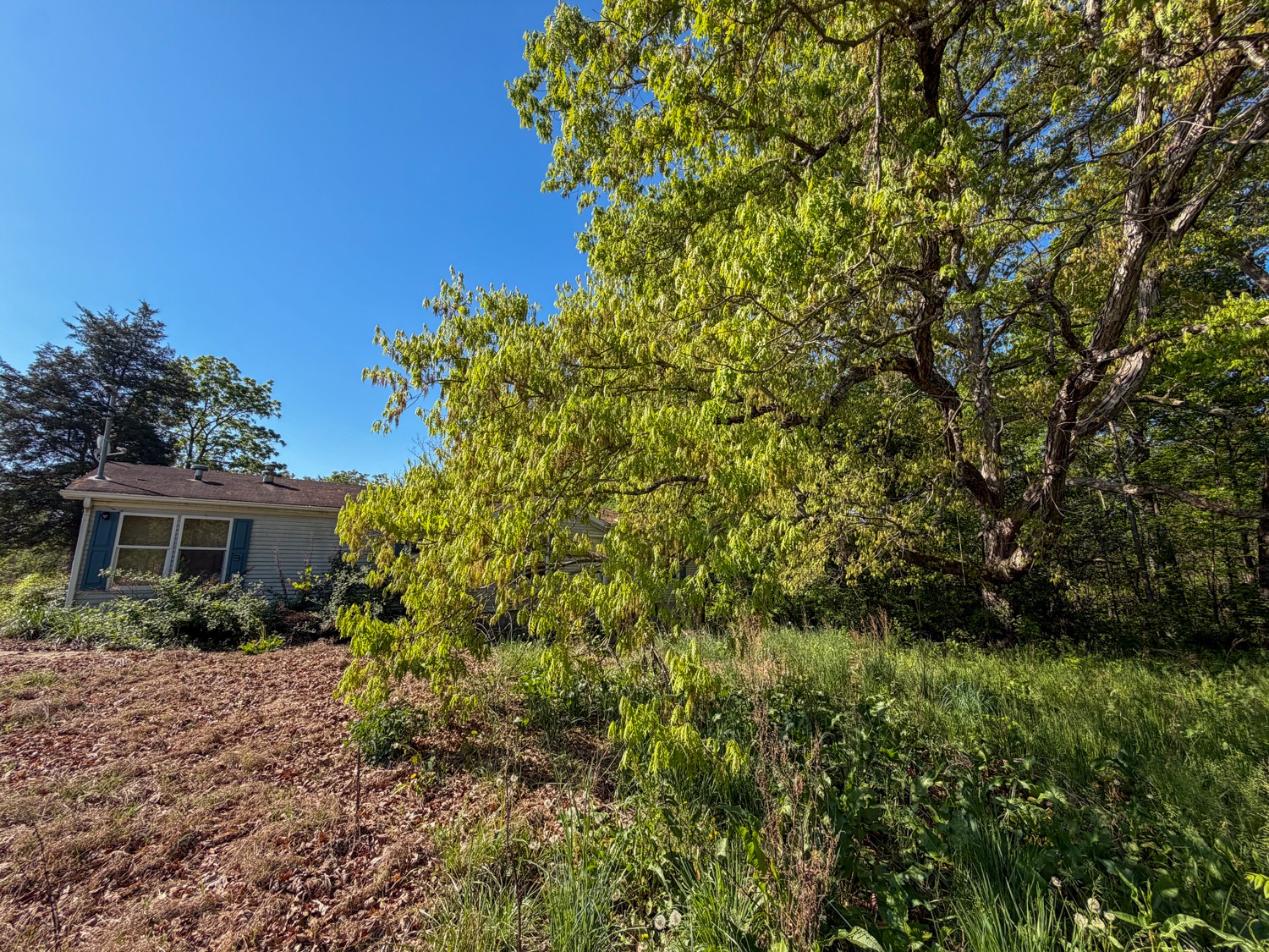 1185 Knowling Loop Talbott, TN 37877 - Photo 75 of 96