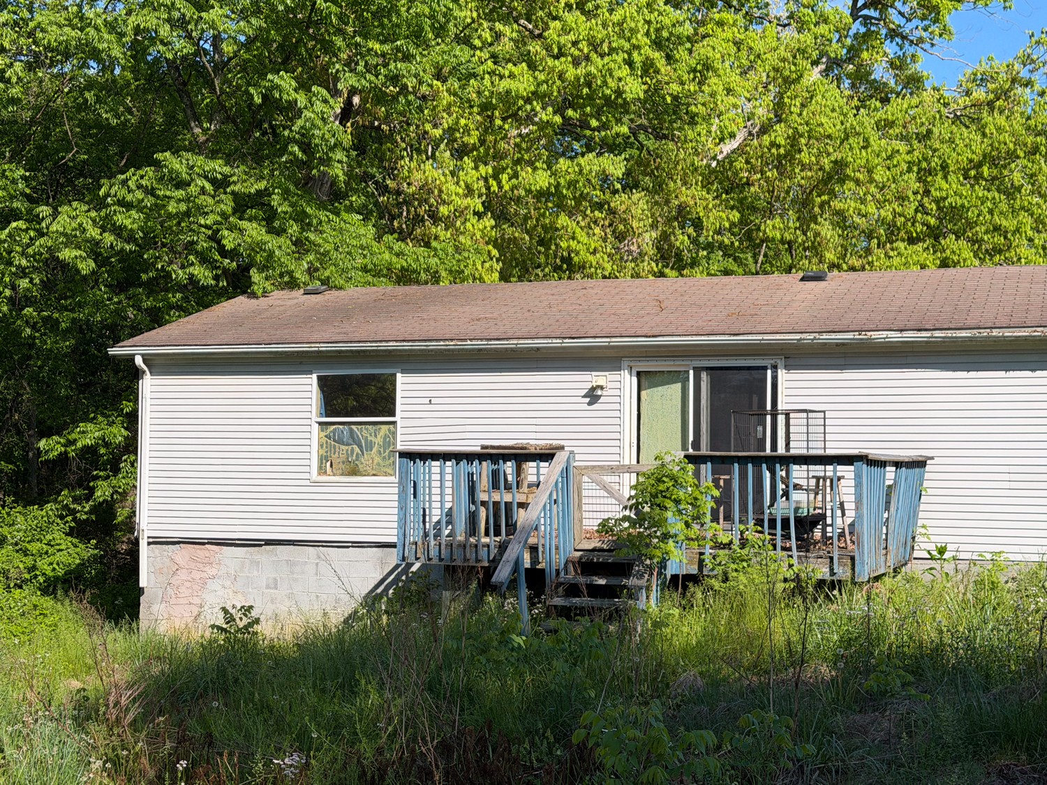 1185 Knowling Loop Talbott, TN 37877 - Photo 8 of 96
