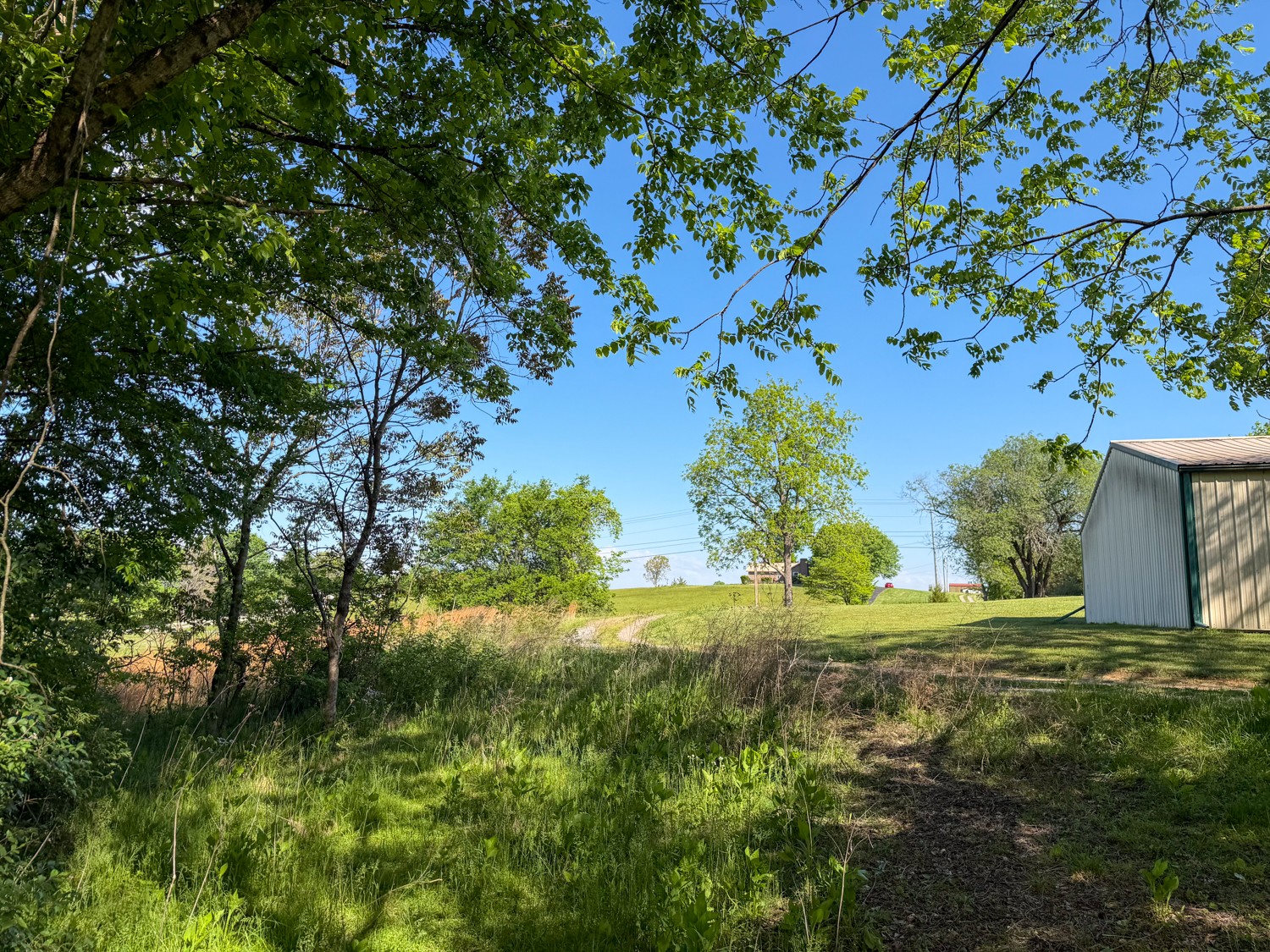 1185 Knowling Loop Talbott, TN 37877 - Photo 81 of 96