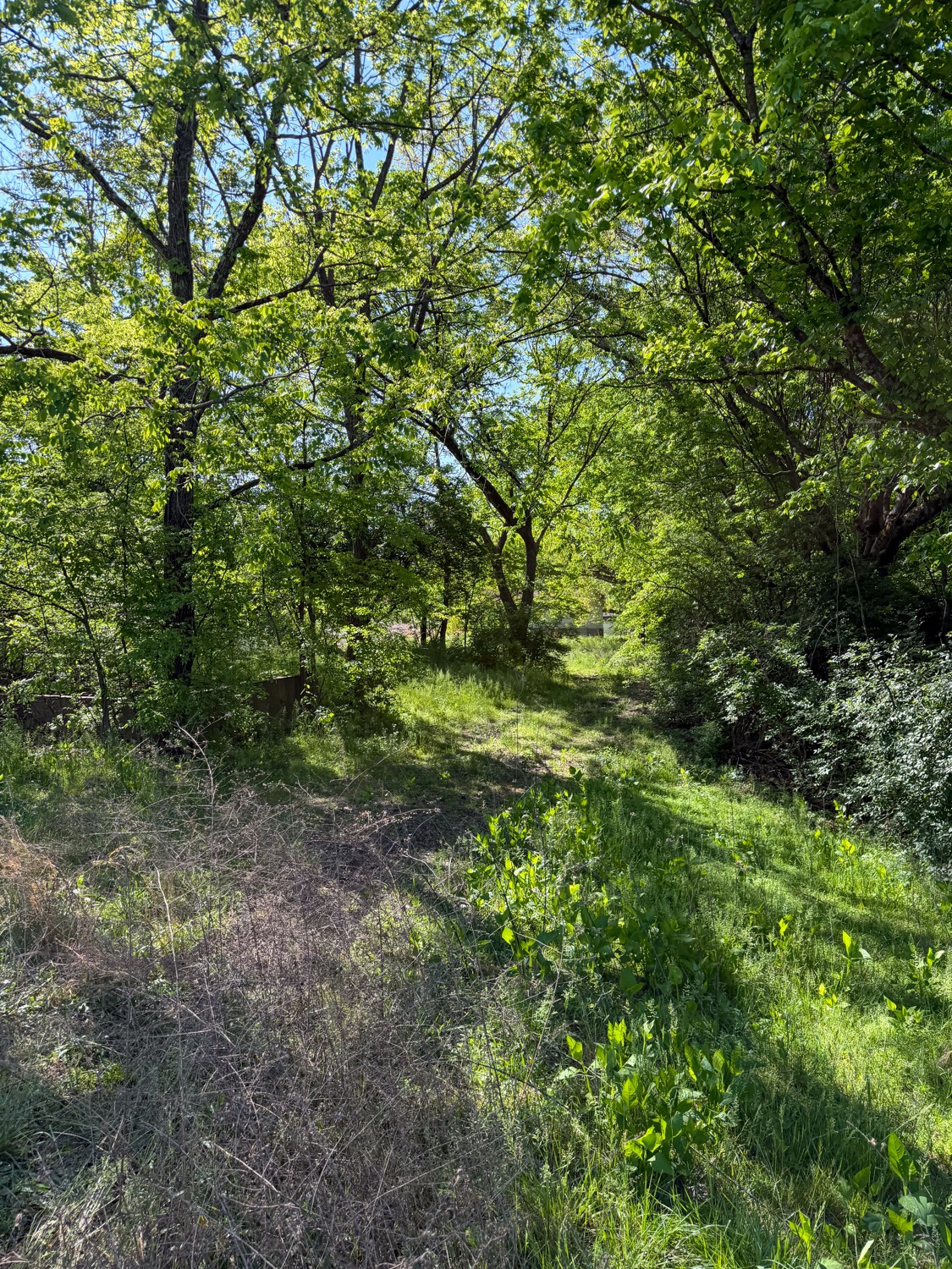 1185 Knowling Loop Talbott, TN 37877 - Photo 82 of 96